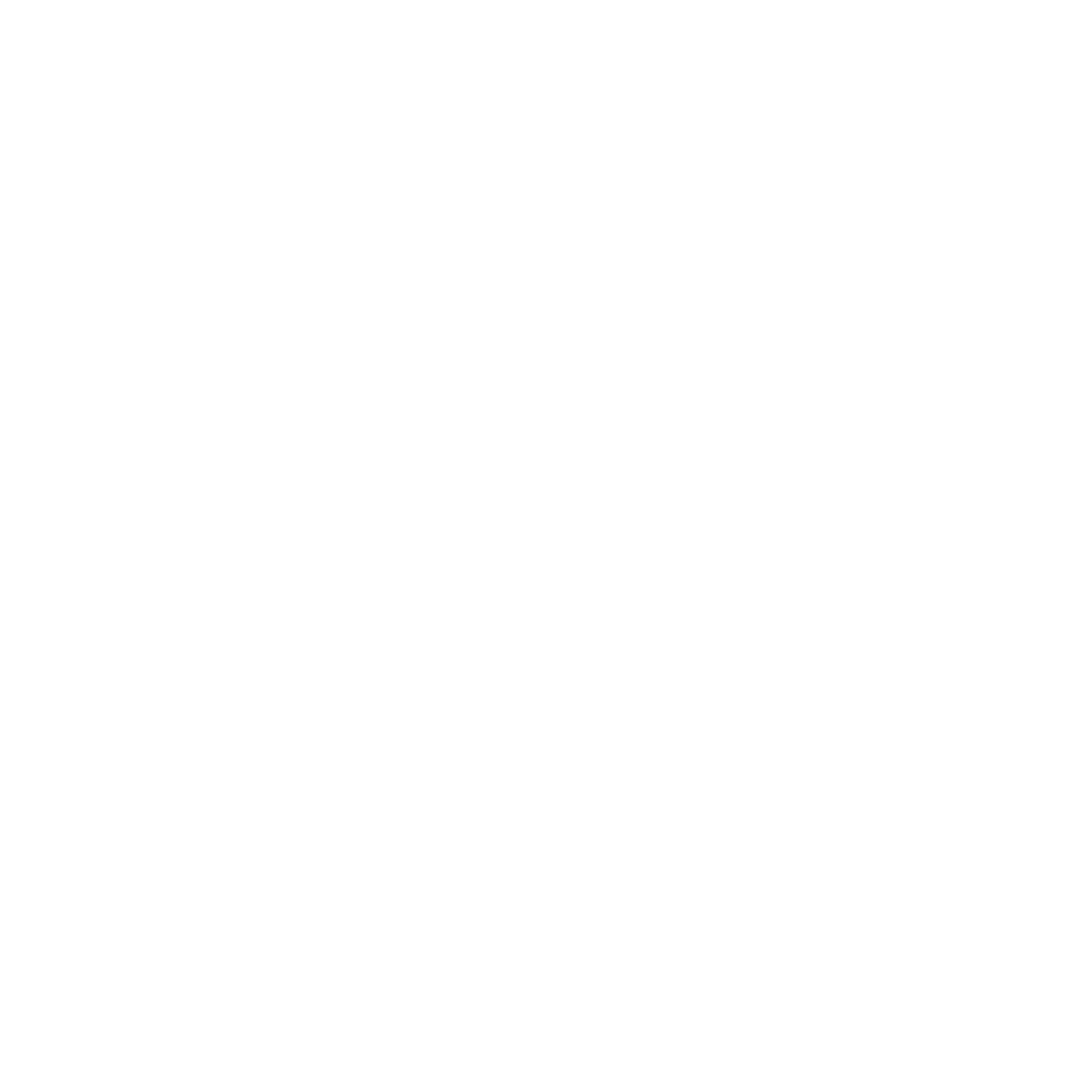 Diaspora Echo Logo